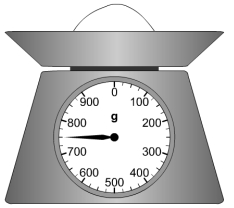 meas-weight19.jpg